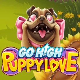 Play Go High Puppy Love slot by RubyPlay on casinolyapp.com